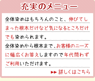 全体染めはもちろんのこと、伸びてしまった根本だけなど気になるところだけでも染められます！